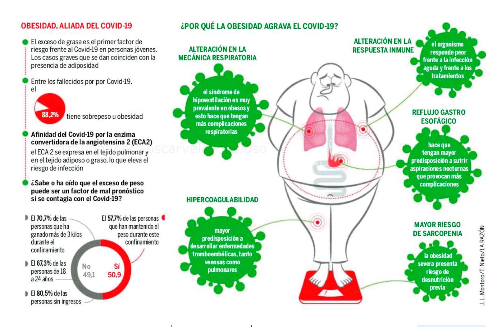 Imagen 2- Monográfico de la SEEDO (II)